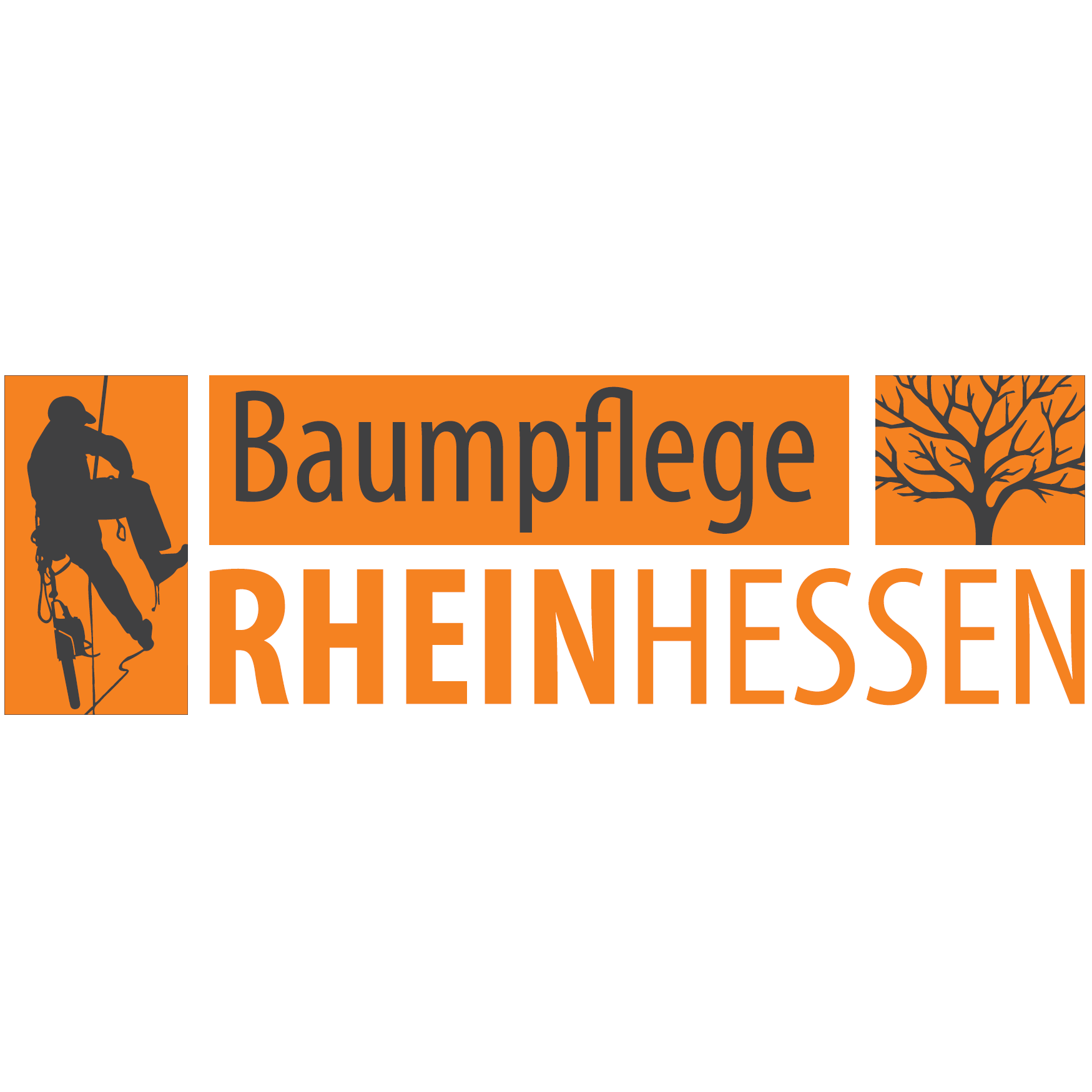 Baumpflege - Rheinhessen GbR Logo