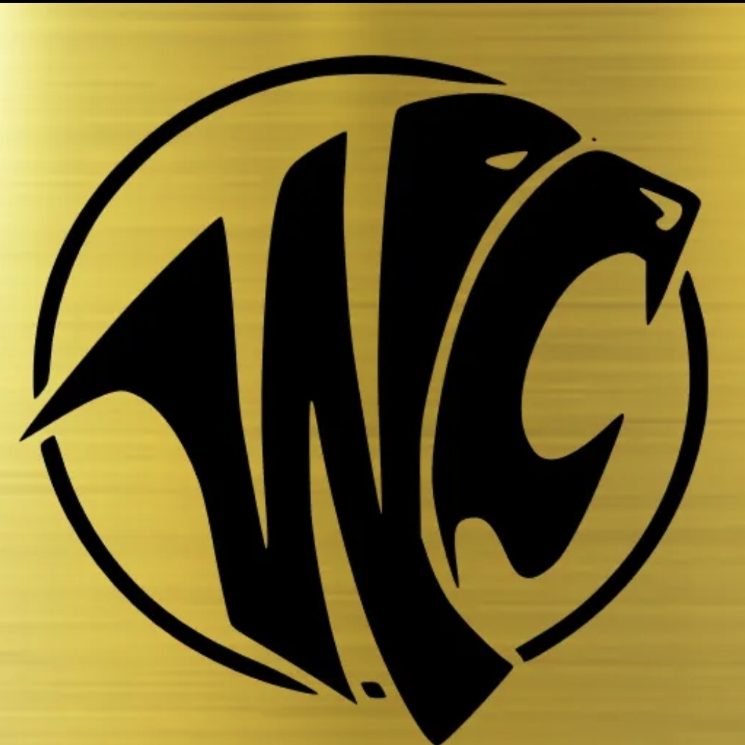 WrapCraft Folientechnik Scheiben tönen steinschlagschutz folie auto folierung fahrzeugbeschriftung möbelfolierung Logo