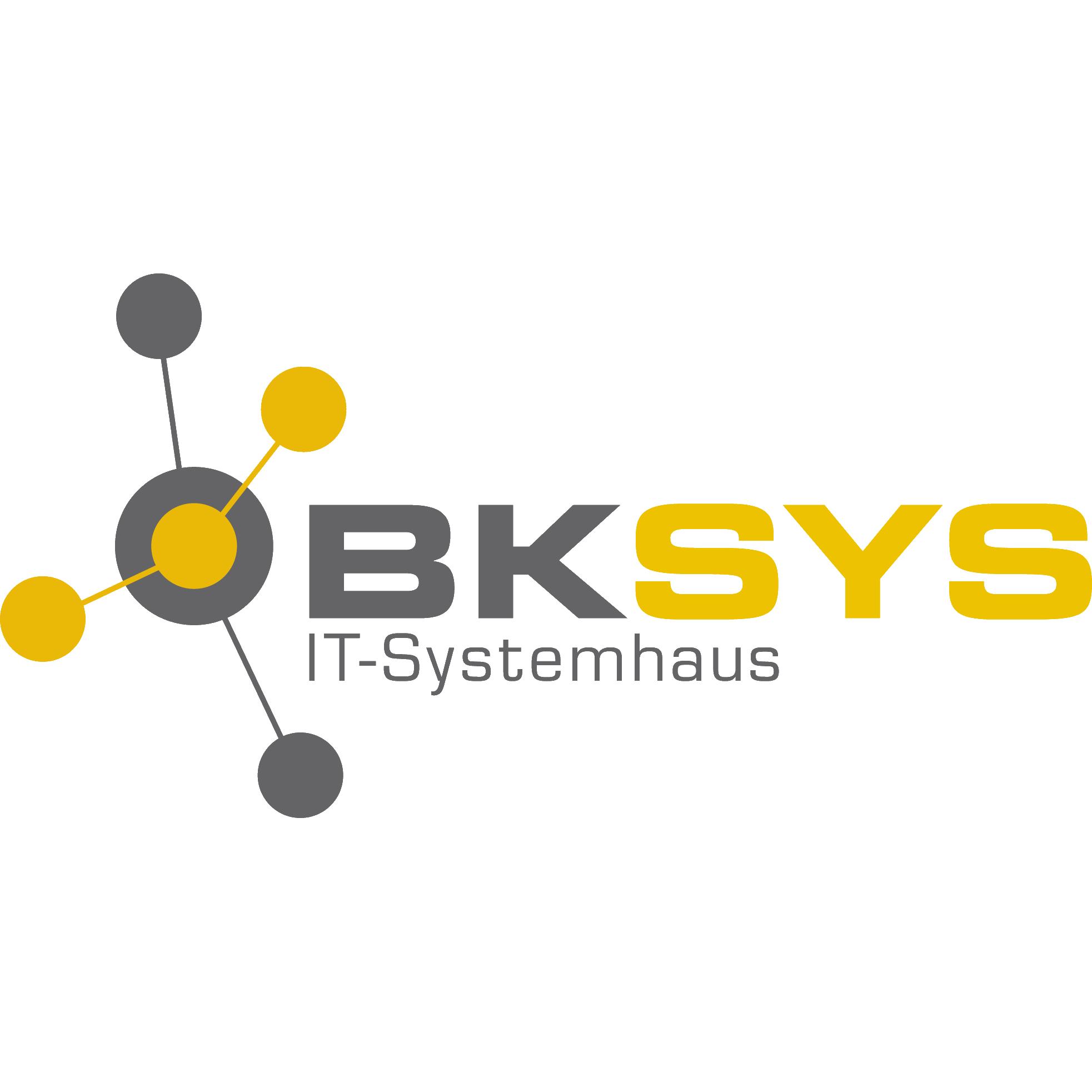 BKSYS Systemplanung - IT-Systemhaus Logo