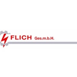 Flich Gesellschaft m.b.H. logo