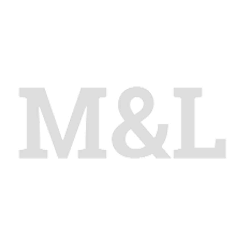 Rechtsanwälte und Notar a. D. Mundstock & Lischka Logo