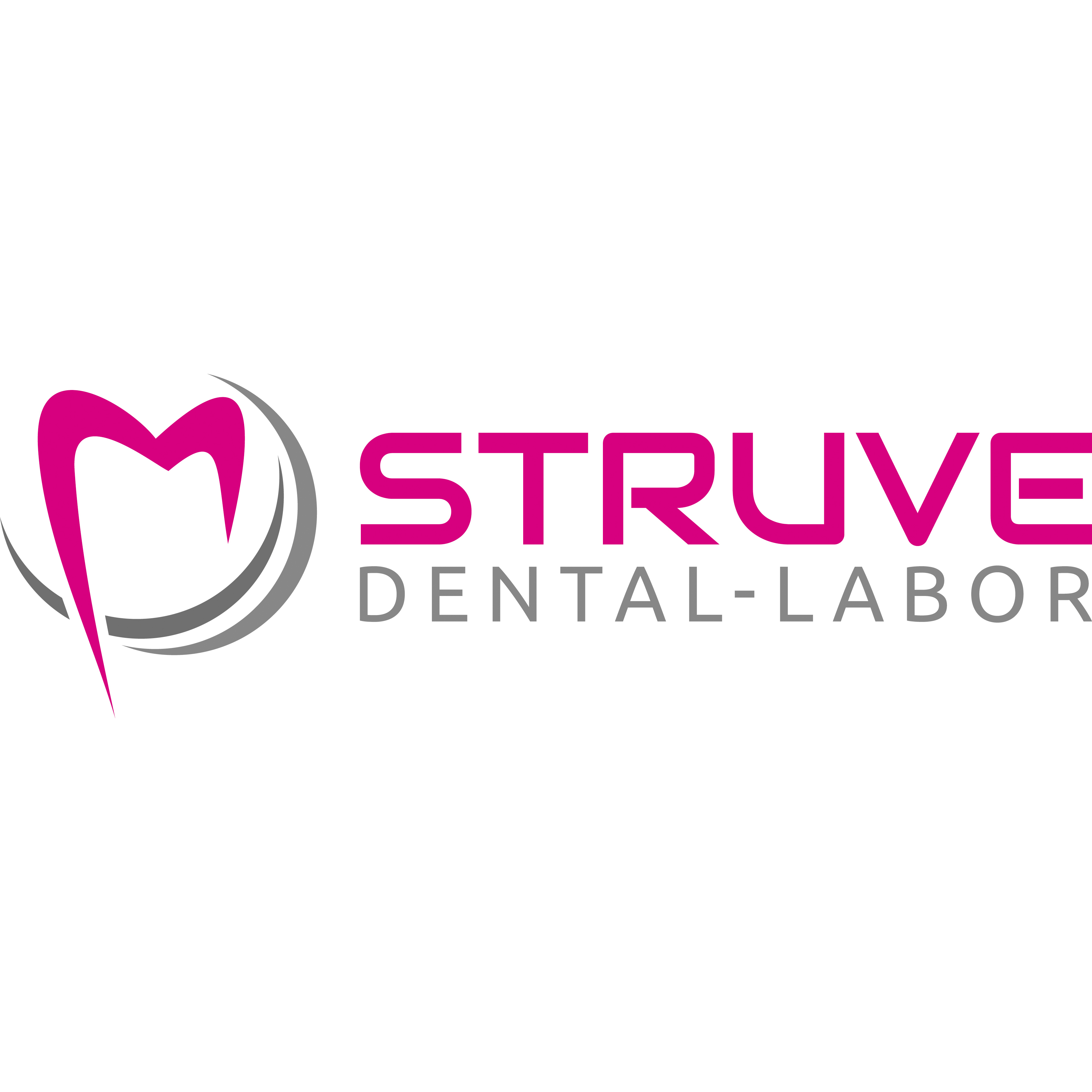 Dental-Labor Peter Struve GmbH Logo