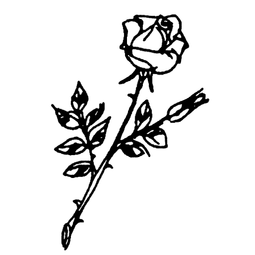 Zimmermann Bestattungen GmbH Zug Logo